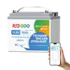 Redodo Batterie Lithium LiFePO4 12V 50Ah Mini Bluetooth - Prot. basse temp. - Petite taille
