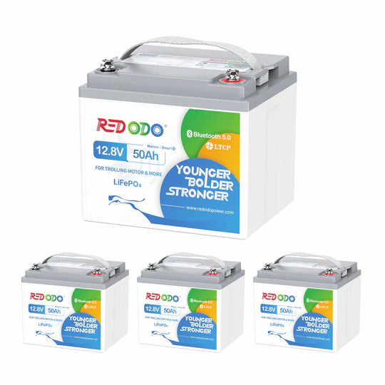 Redodo Batterie Lithium LiFePO4 12V 50Ah Mini Bluetooth - Prot. basse temp. - Petite taille