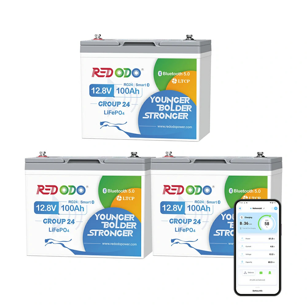 Redodo Batterie Lithium LiFePO4 12V 100Ah Mini Bluetooth - Prot. basse temp. - Petite taille | batterie pour moteur électrique, camping-car, panneau solaire