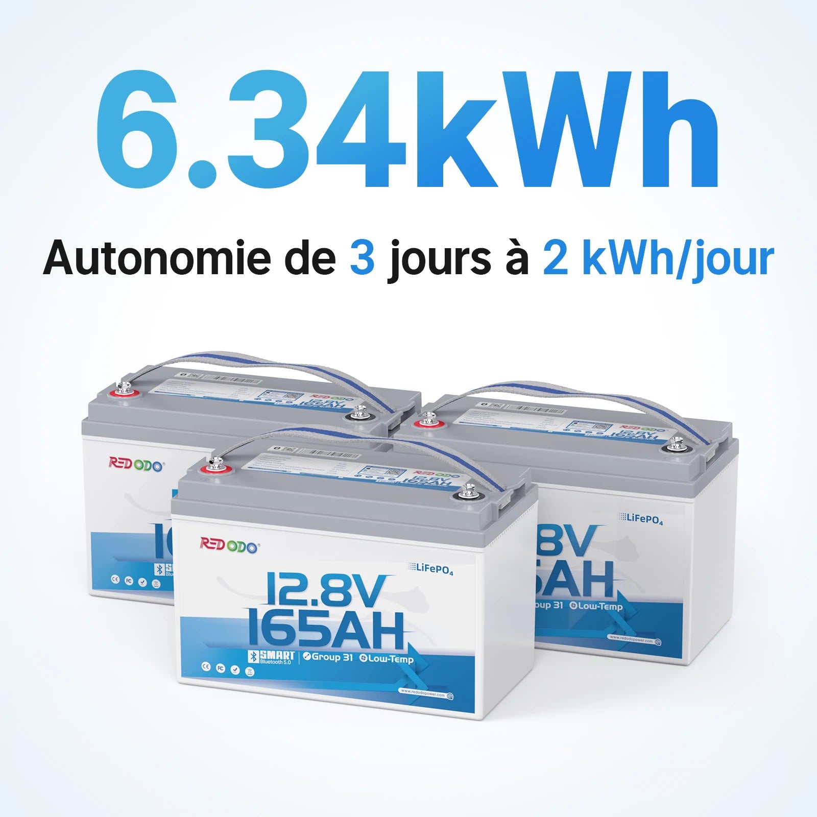 Redodo Batterie lithium LiFePO4 12V 165Ah avec bluetooth - Prot. basse temp.