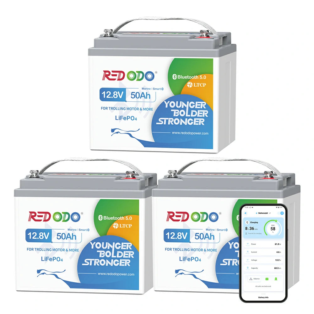 Redodo Batterie Lithium LiFePO4 12V 50Ah Mini Bluetooth - Prot. basse temp. - Petite taille