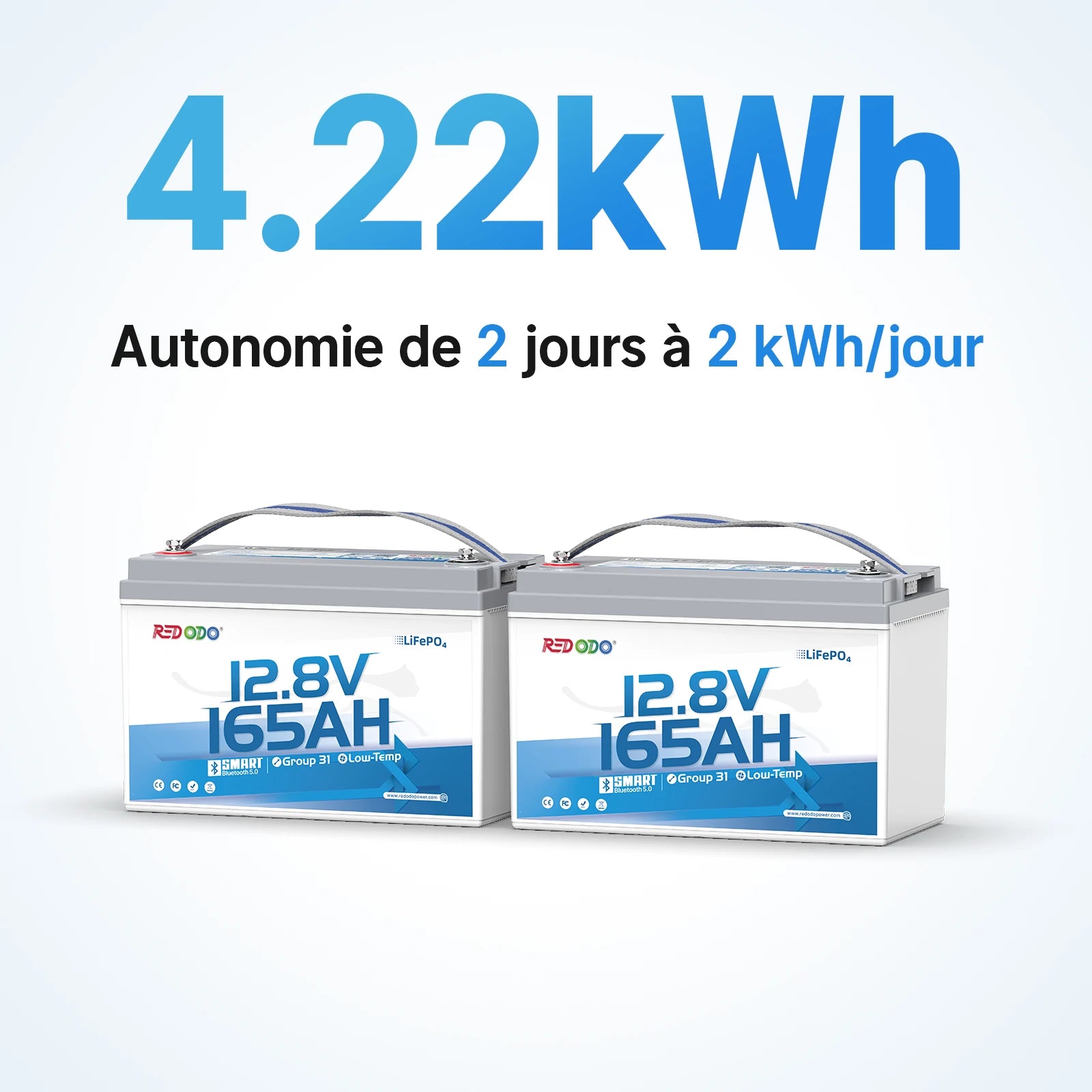 Redodo Batterie lithium LiFePO4 12V 165Ah avec bluetooth - Prot. basse temp.