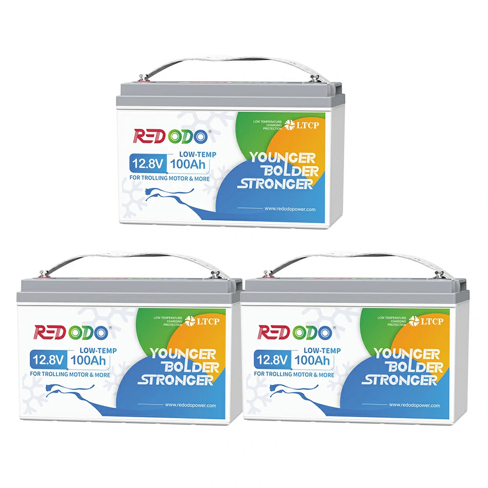 Redodo Batterie Lithium LiFePO4 12V 100Ah - Prot. basse temp.