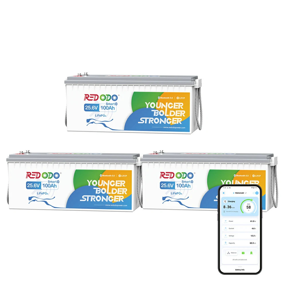 Redodo Batterie Lithium LiFePO4 24V 100Ah Bluetooth - Prot. basse temp.