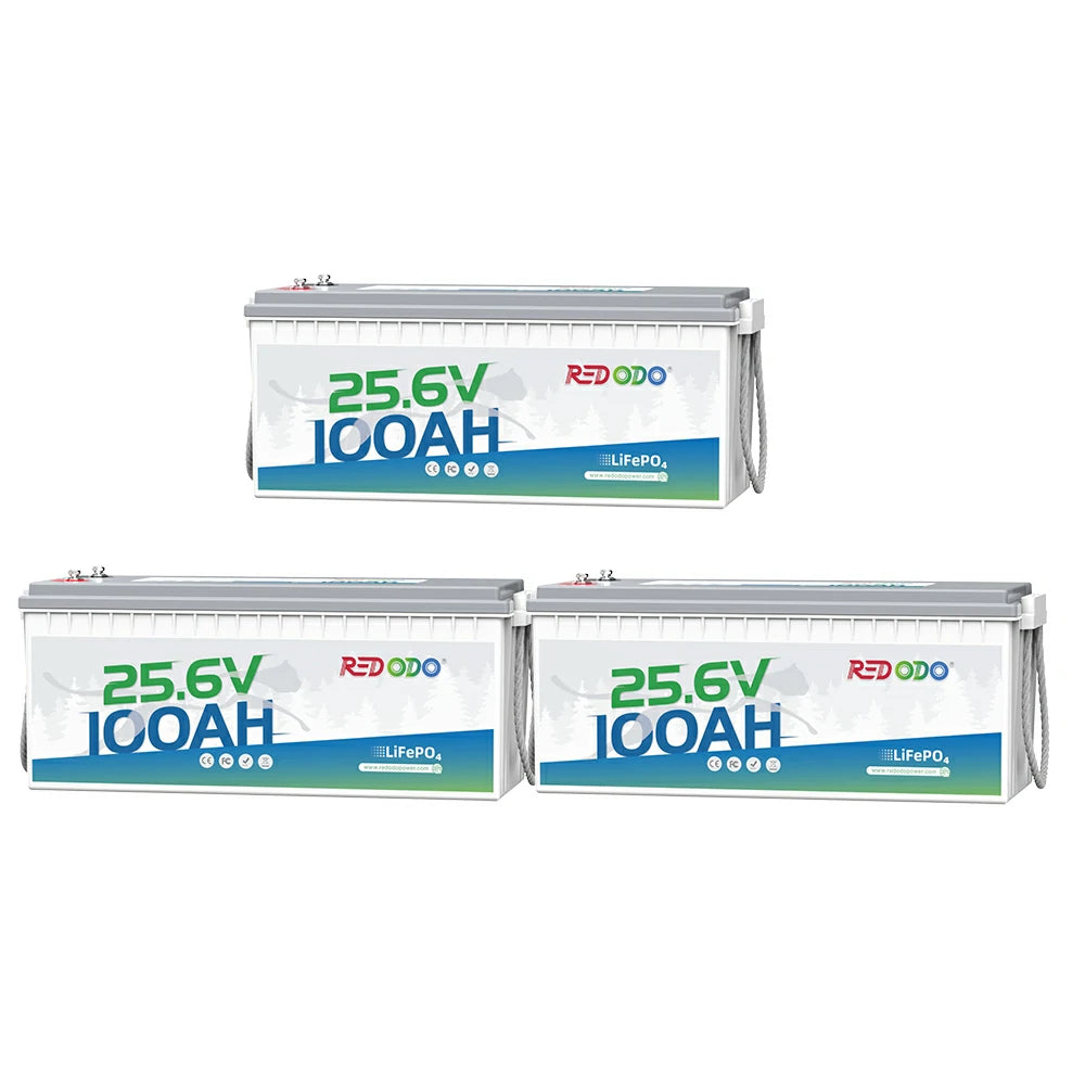 Redodo Batterie Lithium LiFePO4 24V 100Ah
