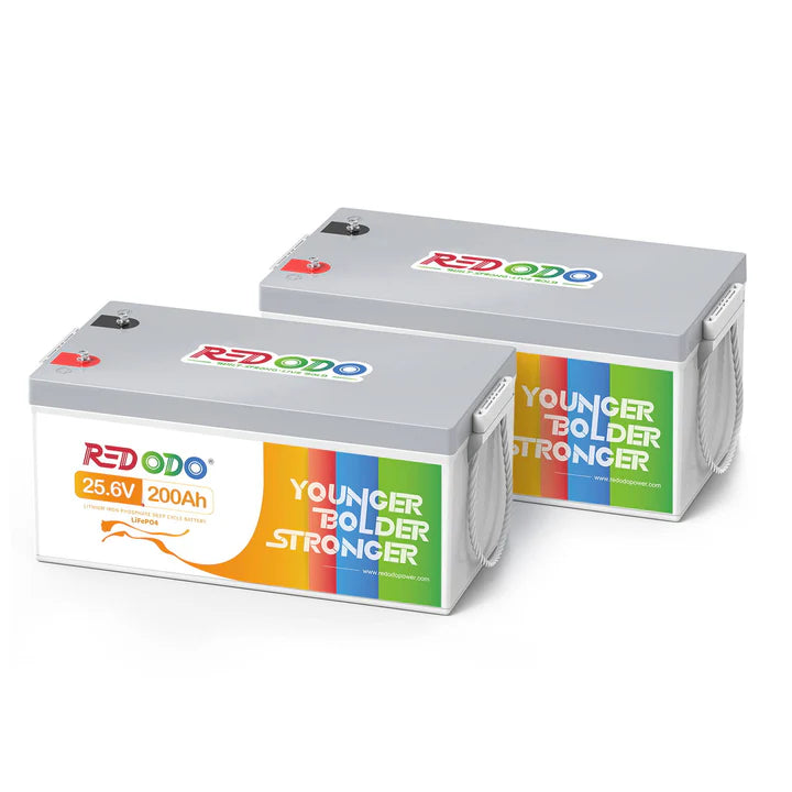 Redodo Batterie Lithium LiFePO4 24V 200Ah
