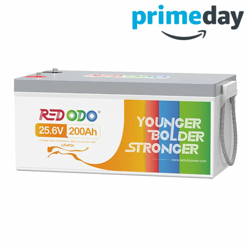 Redodo Batterie Lithium LiFePO4 24V 200Ah