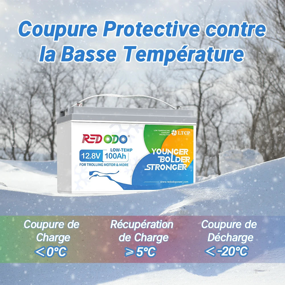 Redodo Batterie Lithium LiFePO4 12V 100Ah - Prot. basse temp.