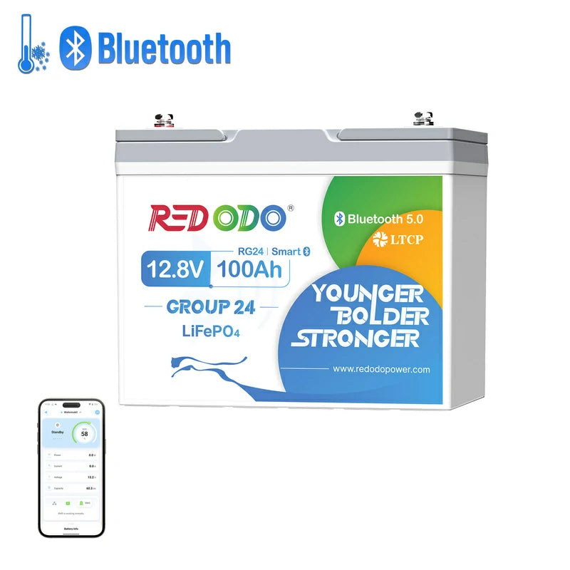 Redodo Batterie Lithium LiFePO4 12V 100Ah Mini Bluetooth - Prot. basse temp. - Petite taille