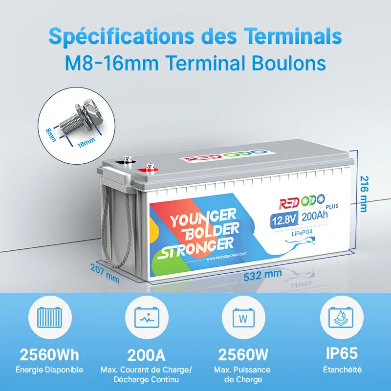 Redodo Batterie Lithium LiFePO4 12V 200Ah Plus - BMS 200A