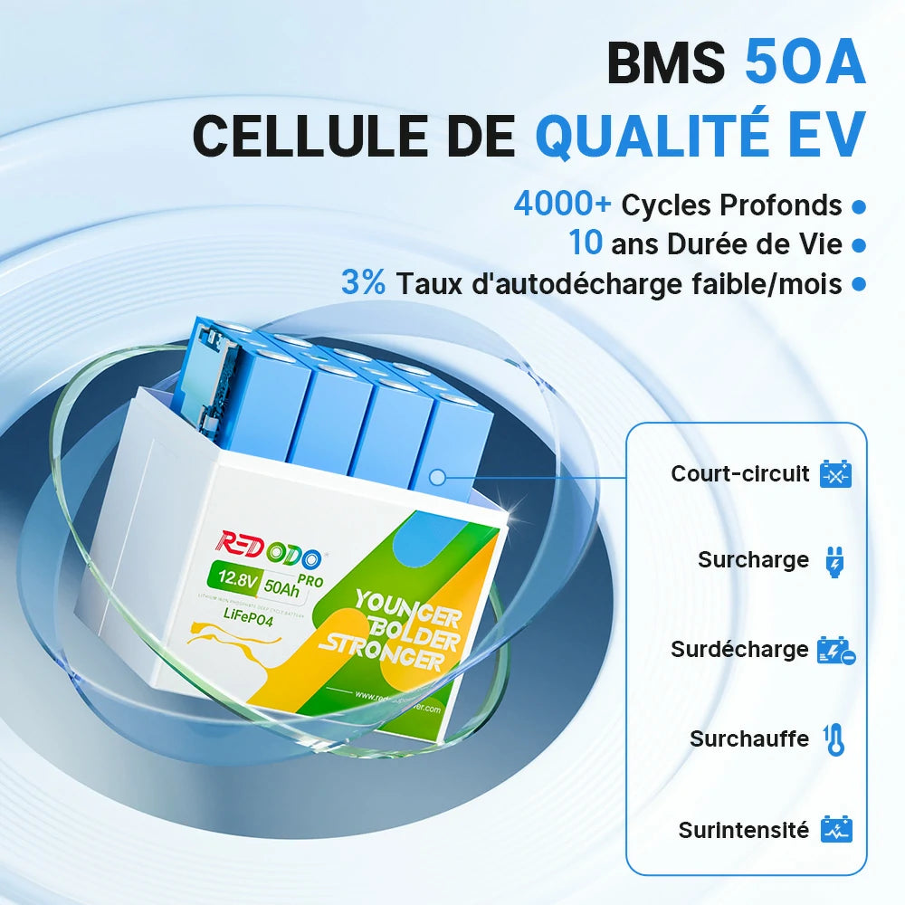 Batterie Redodo 12V 50Ah avec BMS 50A et cellules de qualité pour 4000+ cycles