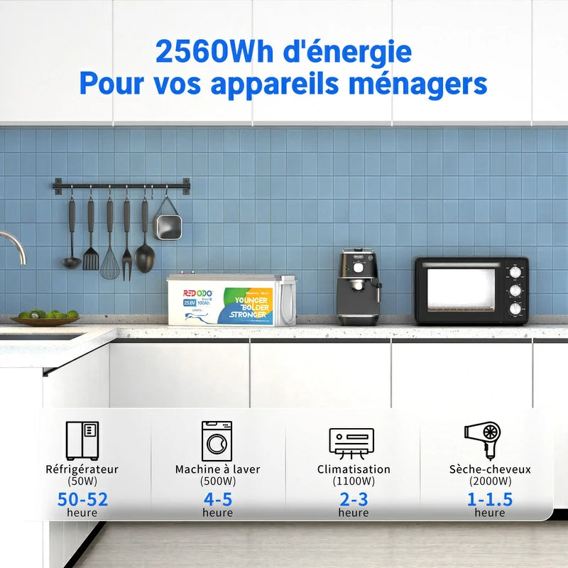 Redodo Batterie Lithium LiFePO4 24V 100Ah Bluetooth - Prot. basse temp.