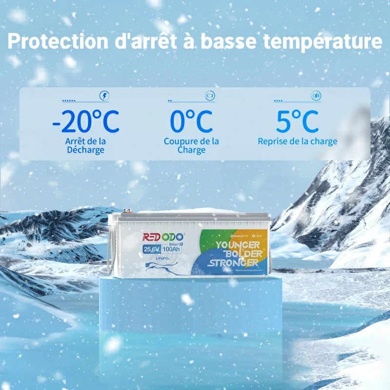Redodo Batterie Lithium LiFePO4 24V 100Ah Bluetooth - Prot. basse temp.