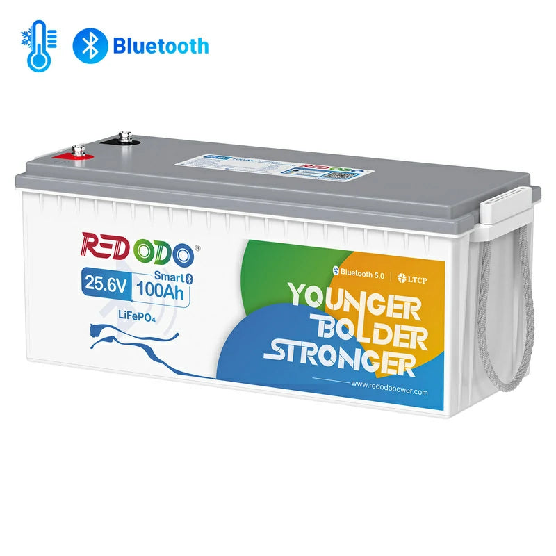 Redodo Batterie Lithium LiFePO4 24V 100Ah Bluetooth - Prot. basse temp.