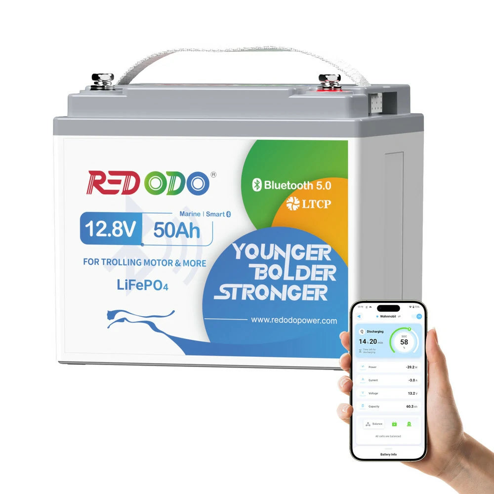 Batterie lithium 12V 50Ah Redodo avec Bluetooth, adaptée aux moteurs dans les conditions hivernales