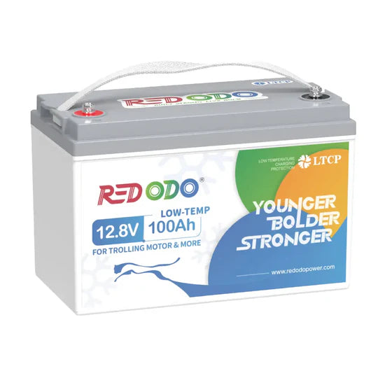 Redodo Batterie Lithium LiFePO4 12V 100Ah - Prot. basse temp.