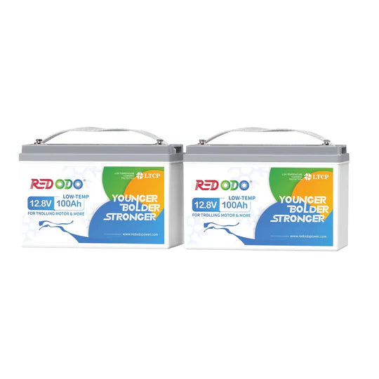 Redodo Batterie Lithium LiFePO4 12V 100Ah - Prot. basse temp.