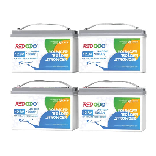Redodo Batterie Lithium LiFePO4 12V 100Ah - Prot. basse temp.