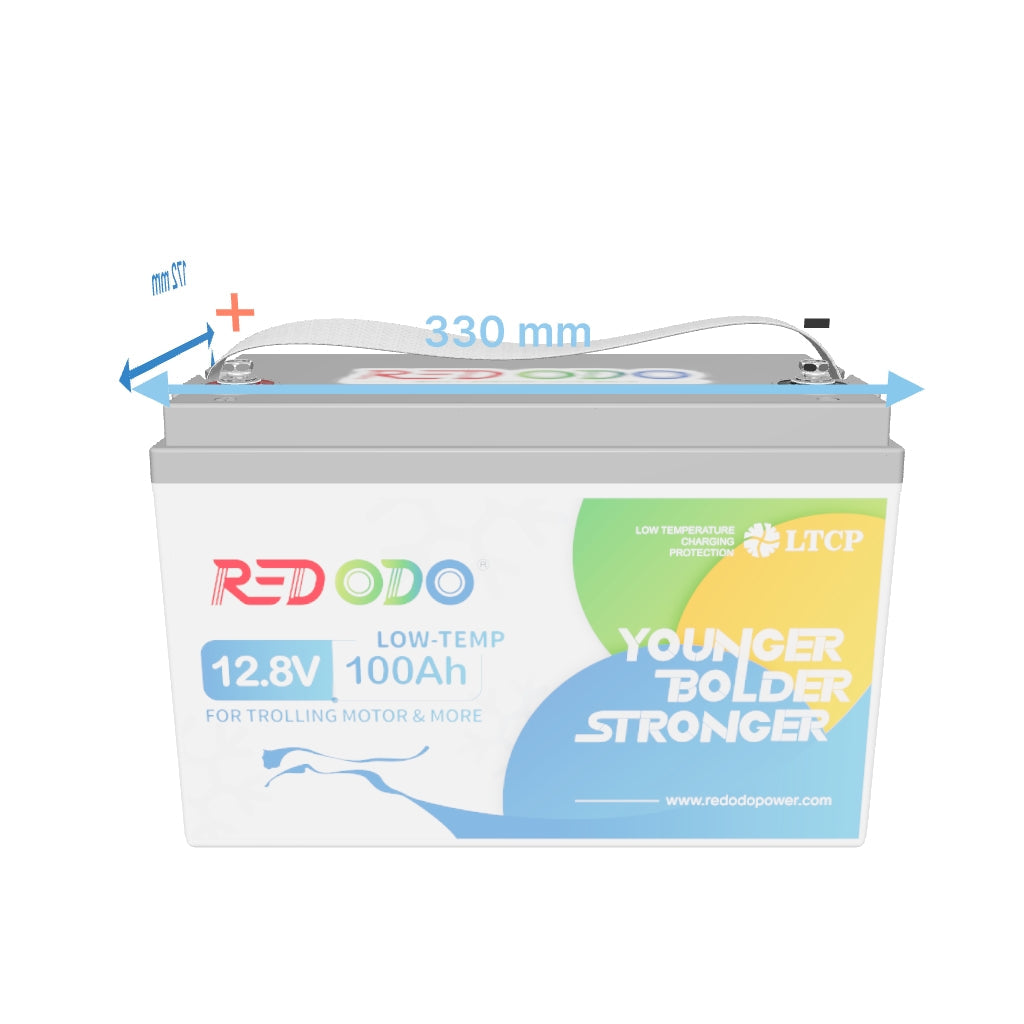 Redodo Batterie Lithium LiFePO4 12V 100Ah - Prot. basse temp.