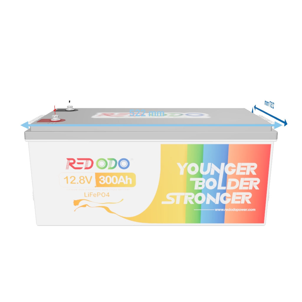 Redodo Batterie Lithium LiFePO4 12V 300Ah - BMS 200A - Panneau Solaire, Camping-Car