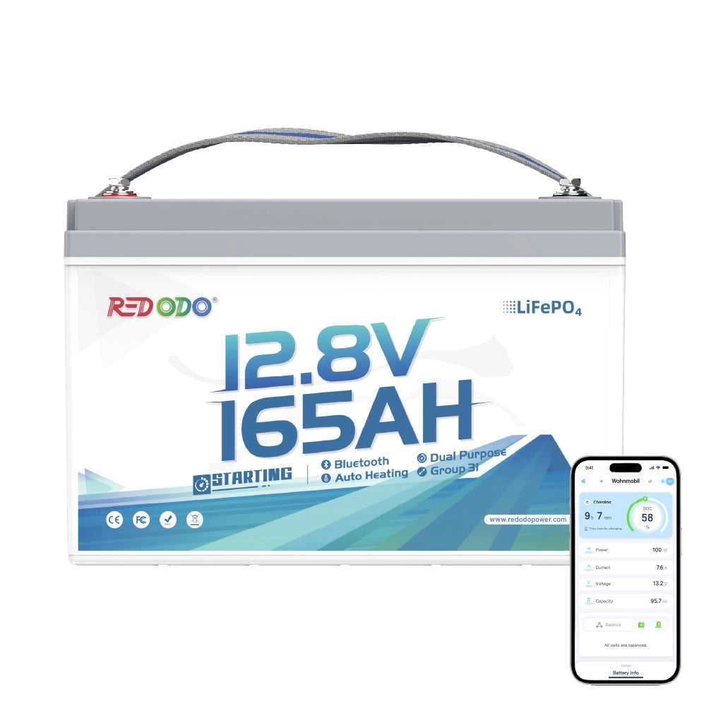 12V 165Ah DualPurpose BT